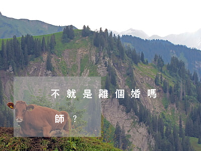 不就是離個婚嗎？為什么非要請律師？